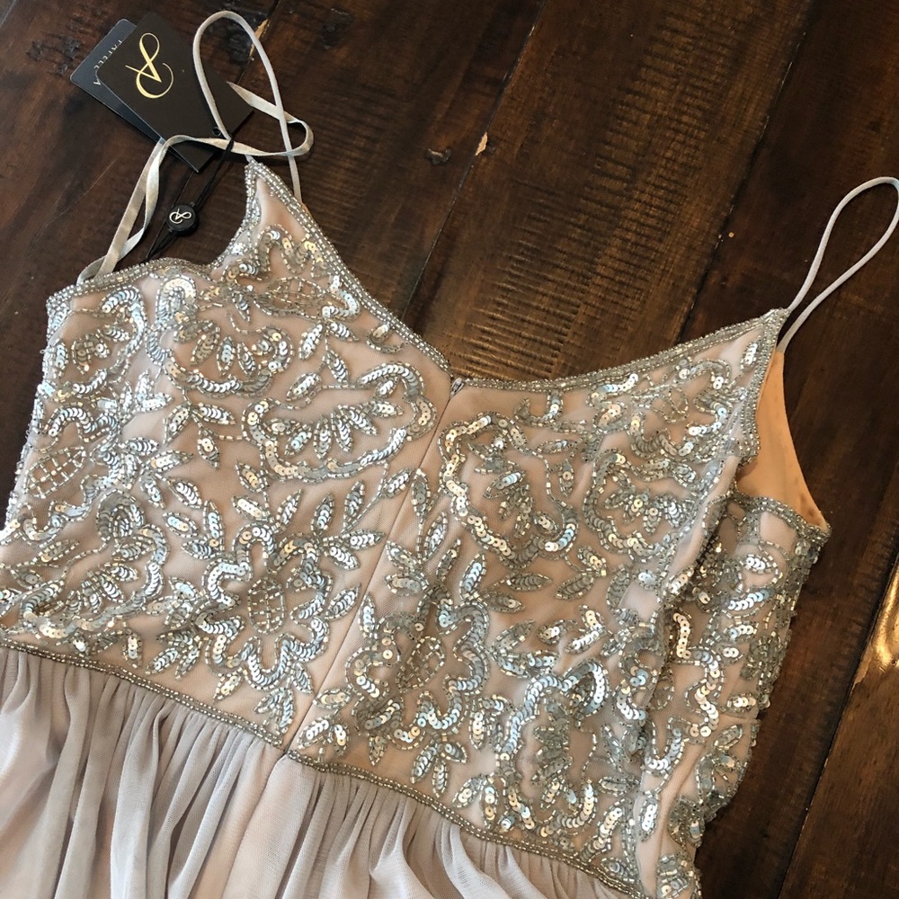 Blush/Silver Adriana Papell Cocktail Dress